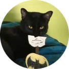 Dana Novack Avatar