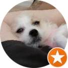 Johnny Tryhard Avatar