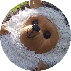 Gregg Provda Avatar